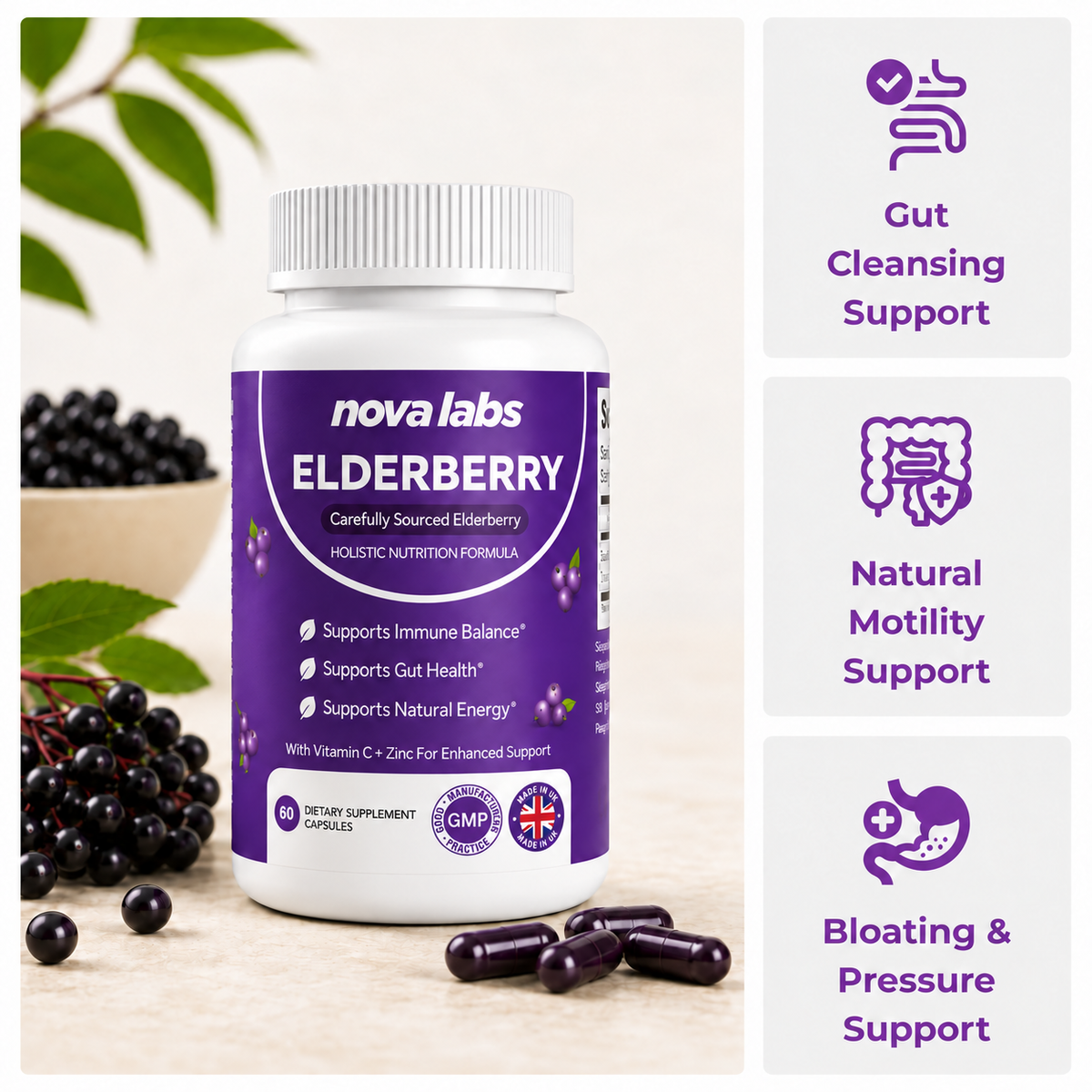 Premium Elderberry Capsules
