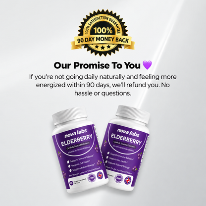 Premium Elderberry Capsules