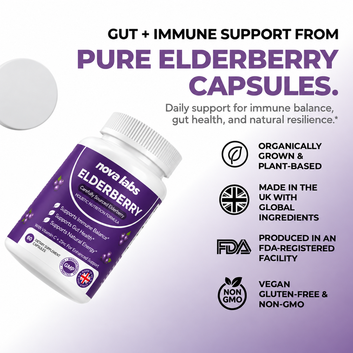 Premium Elderberry Capsules